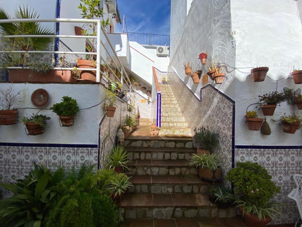 Buddhalounge Apartments Ronda Eksteriør bilde